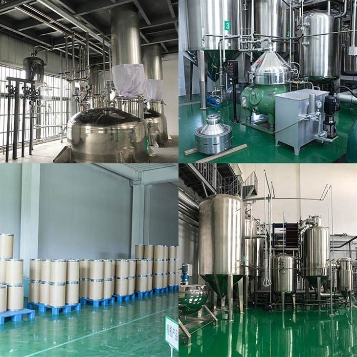 Eucommia Leaf Extract factory